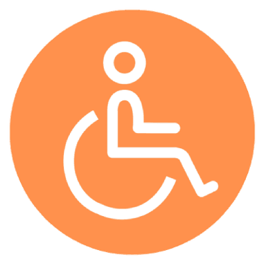 handicapped icon